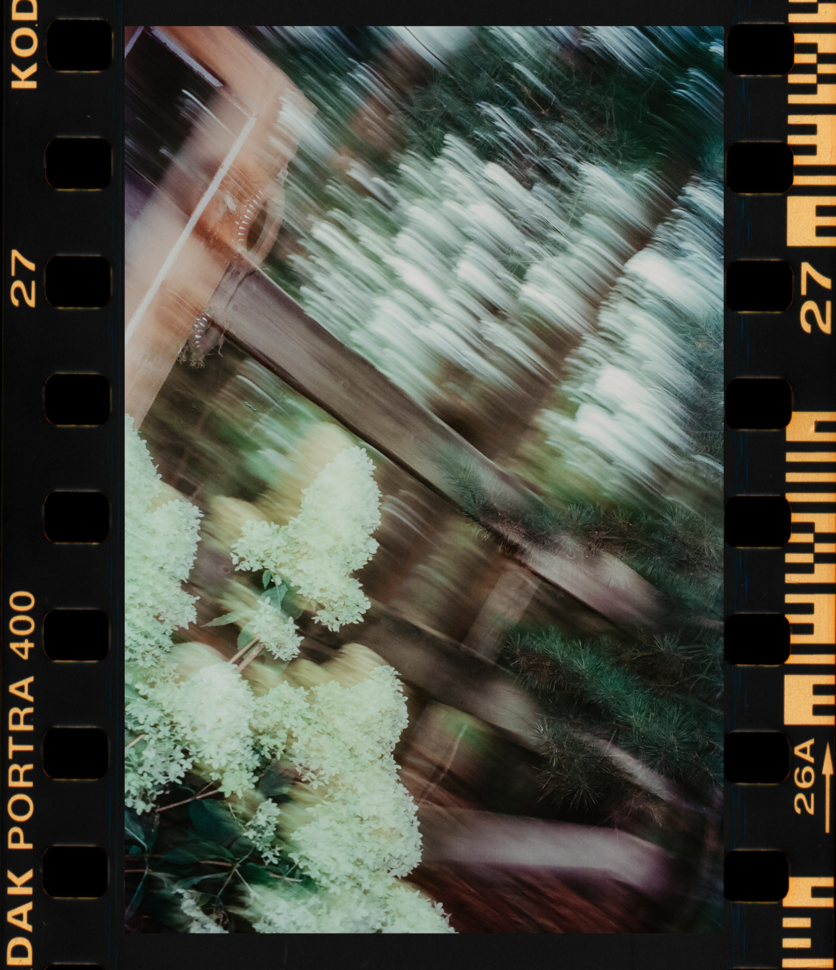 Rozmyty analogowy skan detalu z białymi kwiatami na tle drewnianych belek, z ramką negatywu Kodak Portra 400, wykonany przez Camera Folks – Wedding Photo & Video.