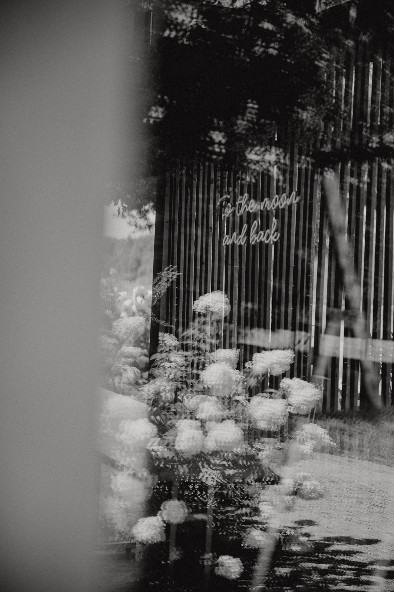 Karolina and Daniel_Madeira_Sielsko Anielsko_by Camera Folks_213