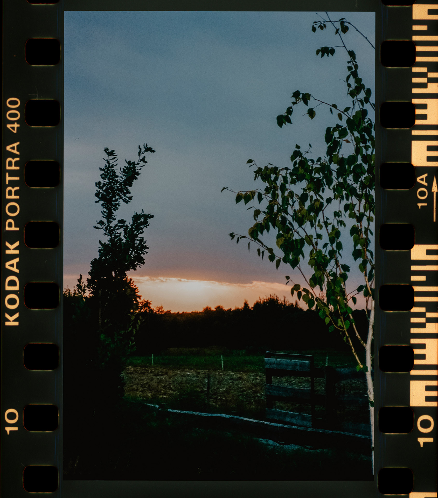 Karolina and Daniel_Madeira_Sielsko Anielsko_by Camera Folks_244