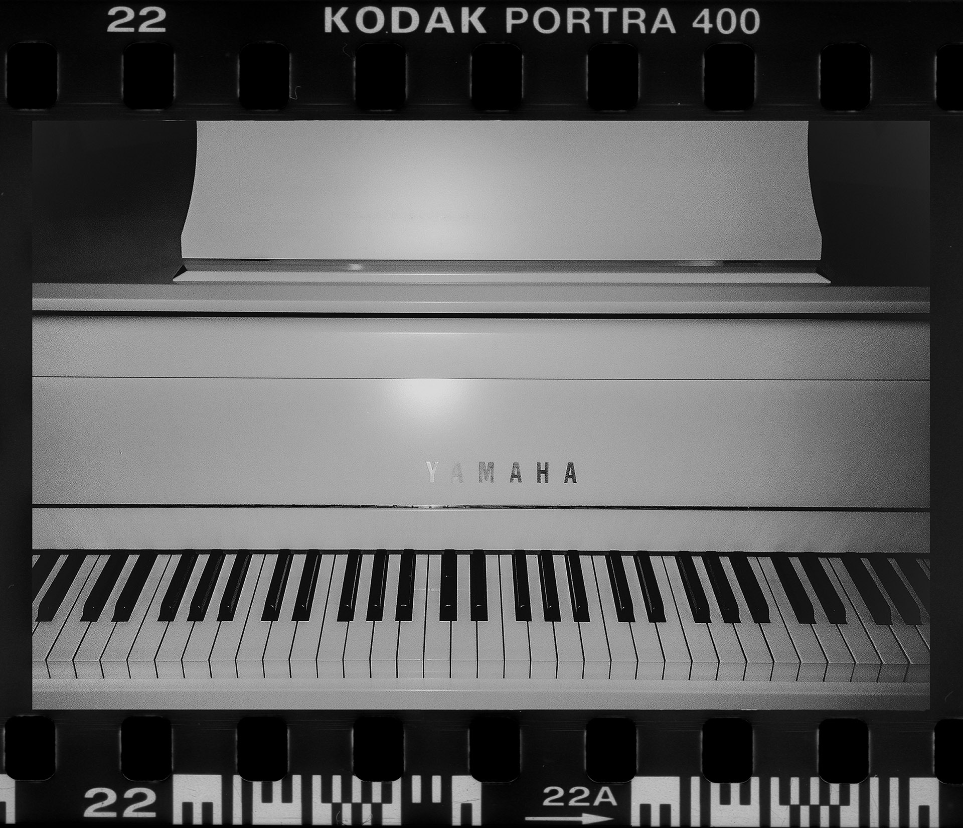 Karolina and Daniel_Madeira_Sielsko Anielsko_by Camera Folks_248